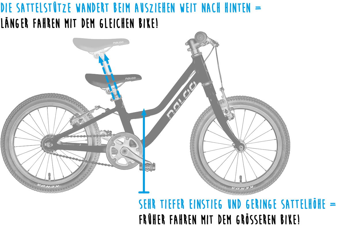 NALOO Adaptive Frame Design