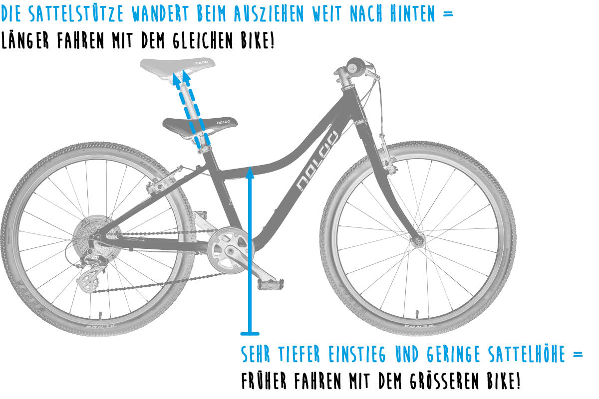NALOO Adaptive Frame Design