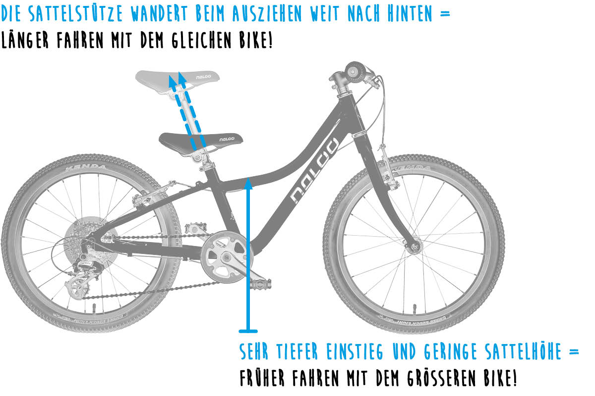 NALOO Adaptive Frame Design